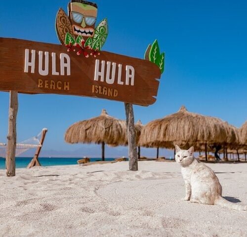 Paradise Island – Hula-Hula